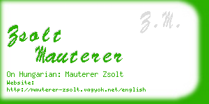 zsolt mauterer business card